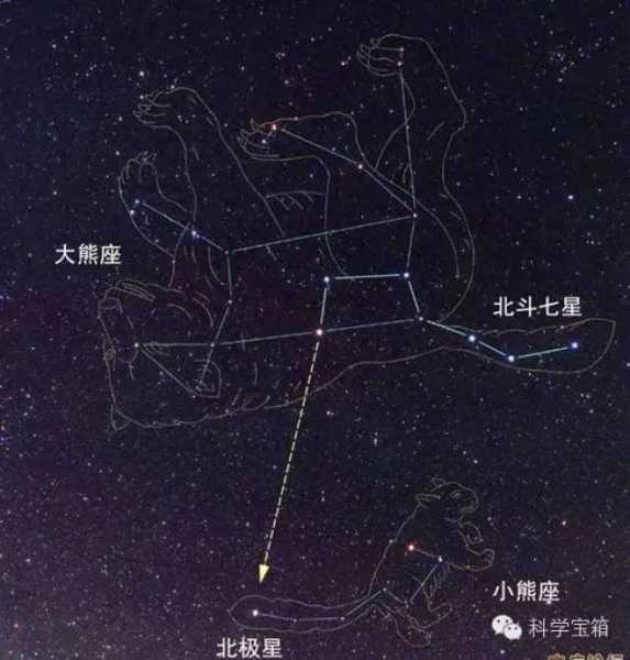 十二星座都是什么熊?真相大揭秘!,象征,希望,十二星座,第1张 十二星座都是什么熊?真相大揭秘!,象征,希望,十二星座,第1张