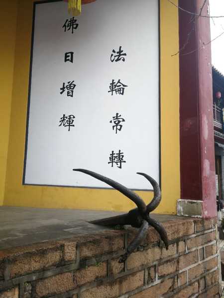 迎江寺求签功德金，智慧与现代生活的和谐 bridge,象征,事业,挑战,第1张