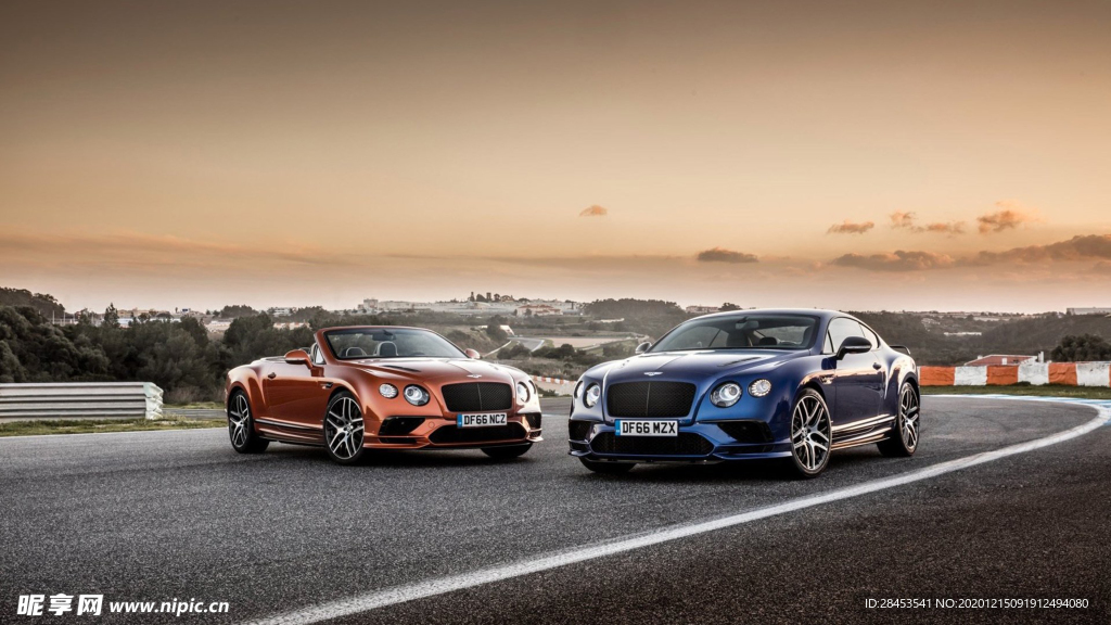 车里养花讲究，让爱车更美好,象征,能量,发财树,第1张