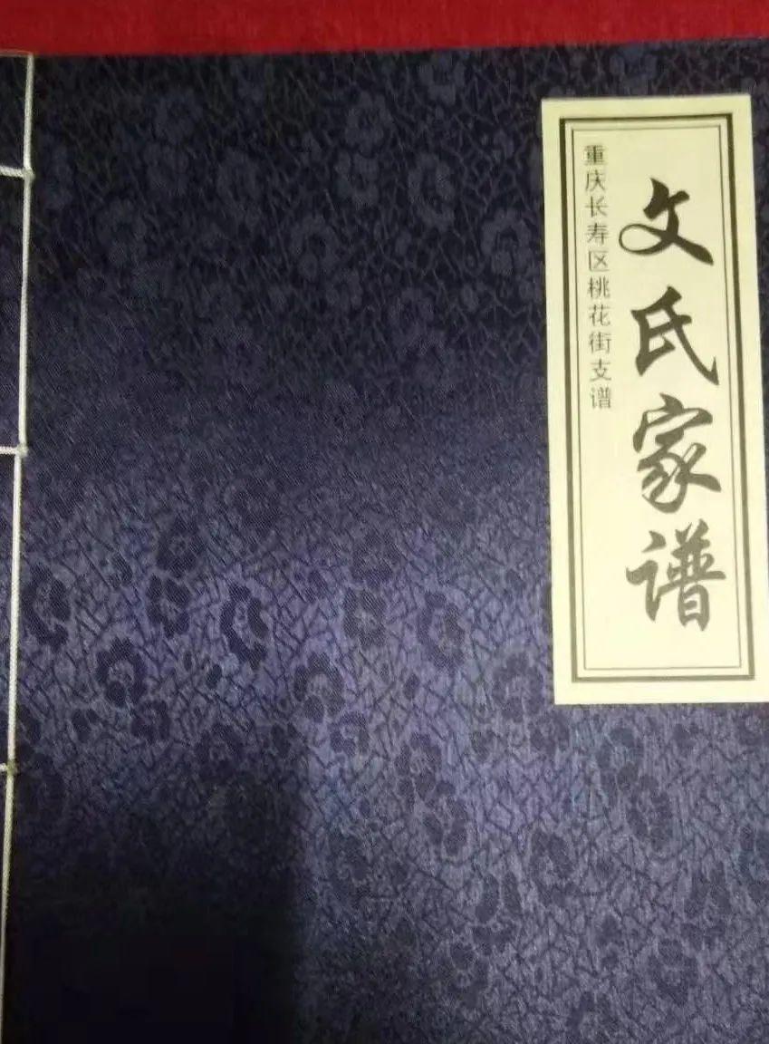 姓文宝宝取名指南，传统与现代结合的艺术,象征,宝宝取名,文化传承,第1张