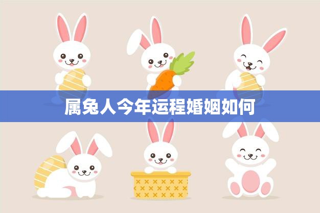 今年生肖兔的运势如何,事业,挑战,合作,第1张