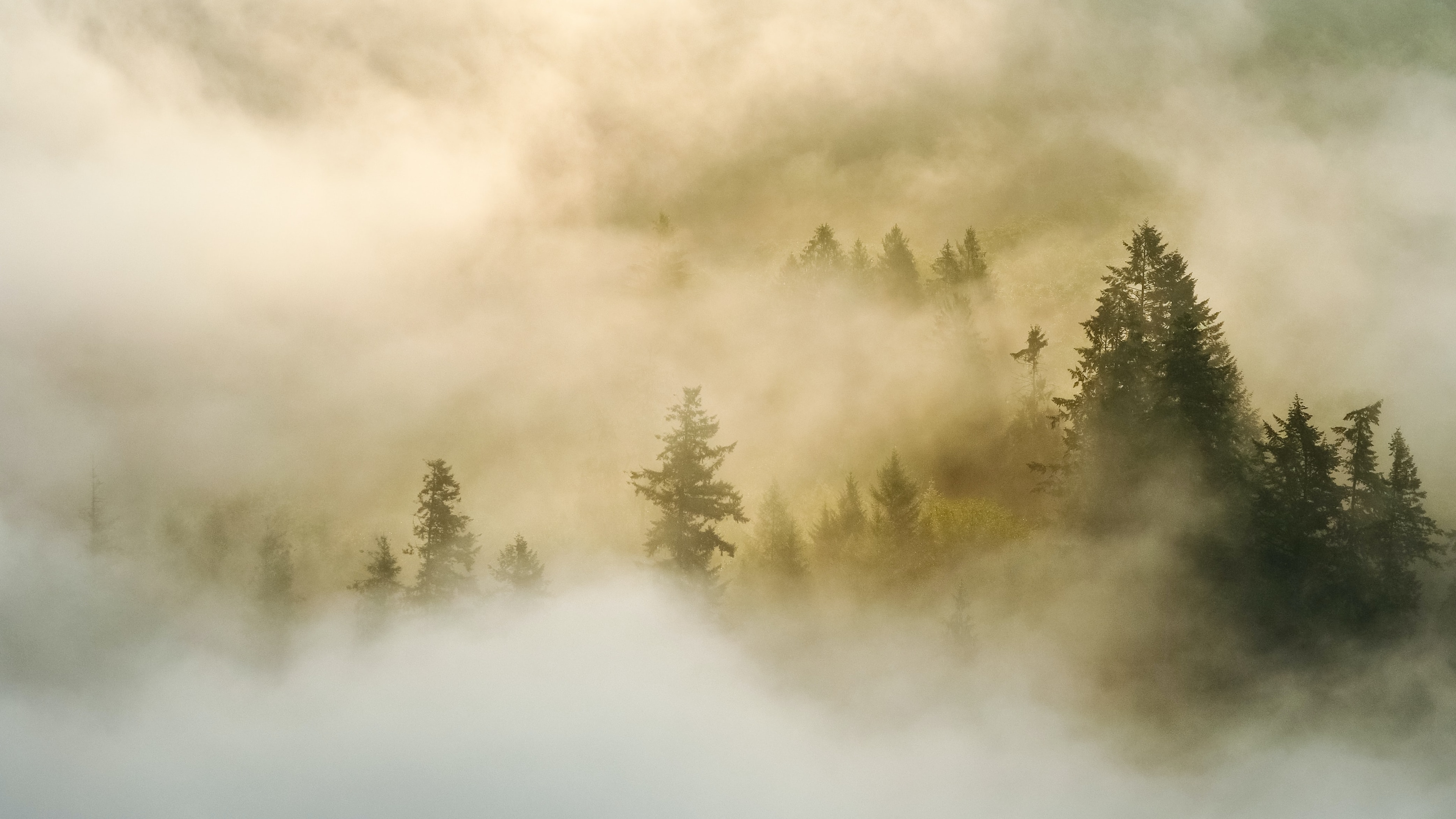 雾中寻她，解读爱算命的宝妈称呼背后的深层含义,象征,命运,算命,第1张
