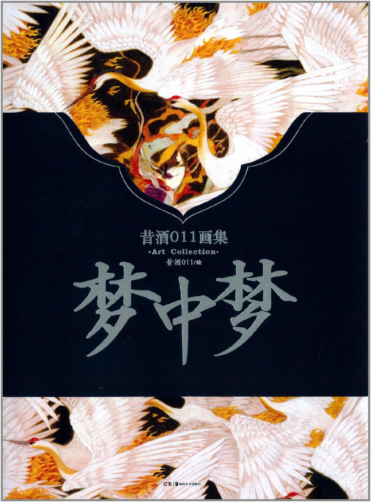 梦见中医是什么预兆？解梦解析,象征,挑战,解梦,第1张
