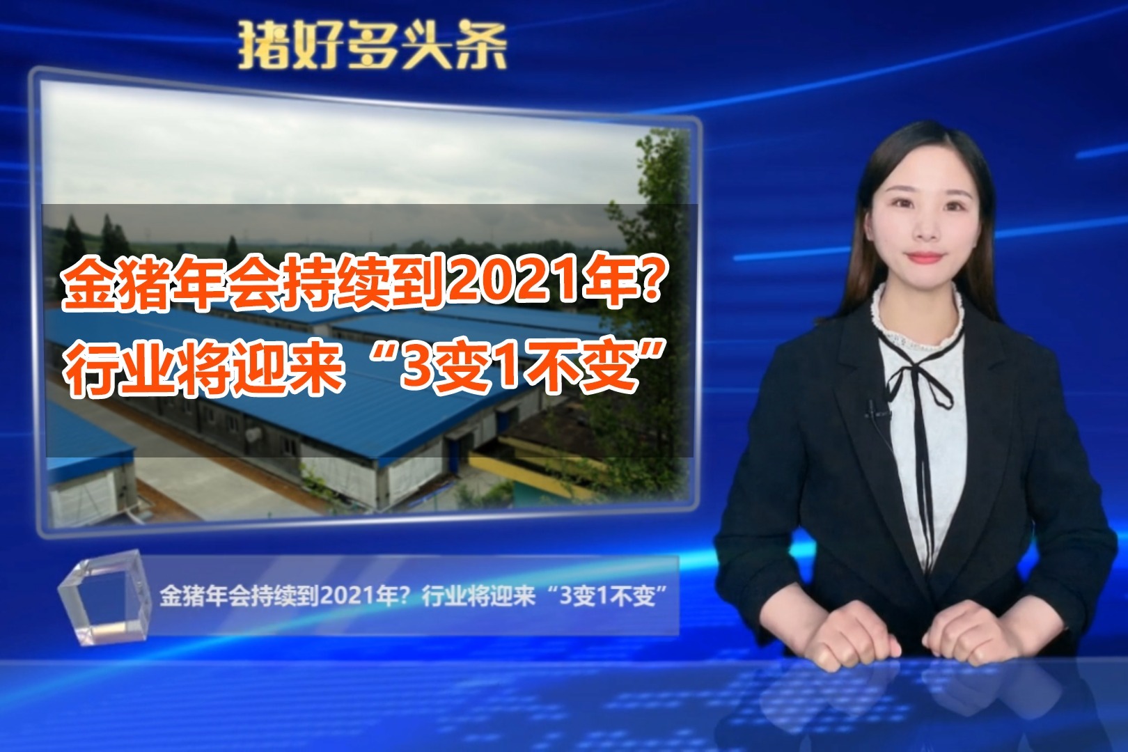 鼠年九月，金猪再临，生肖运势如何？,事业,挑战,合作,第1张