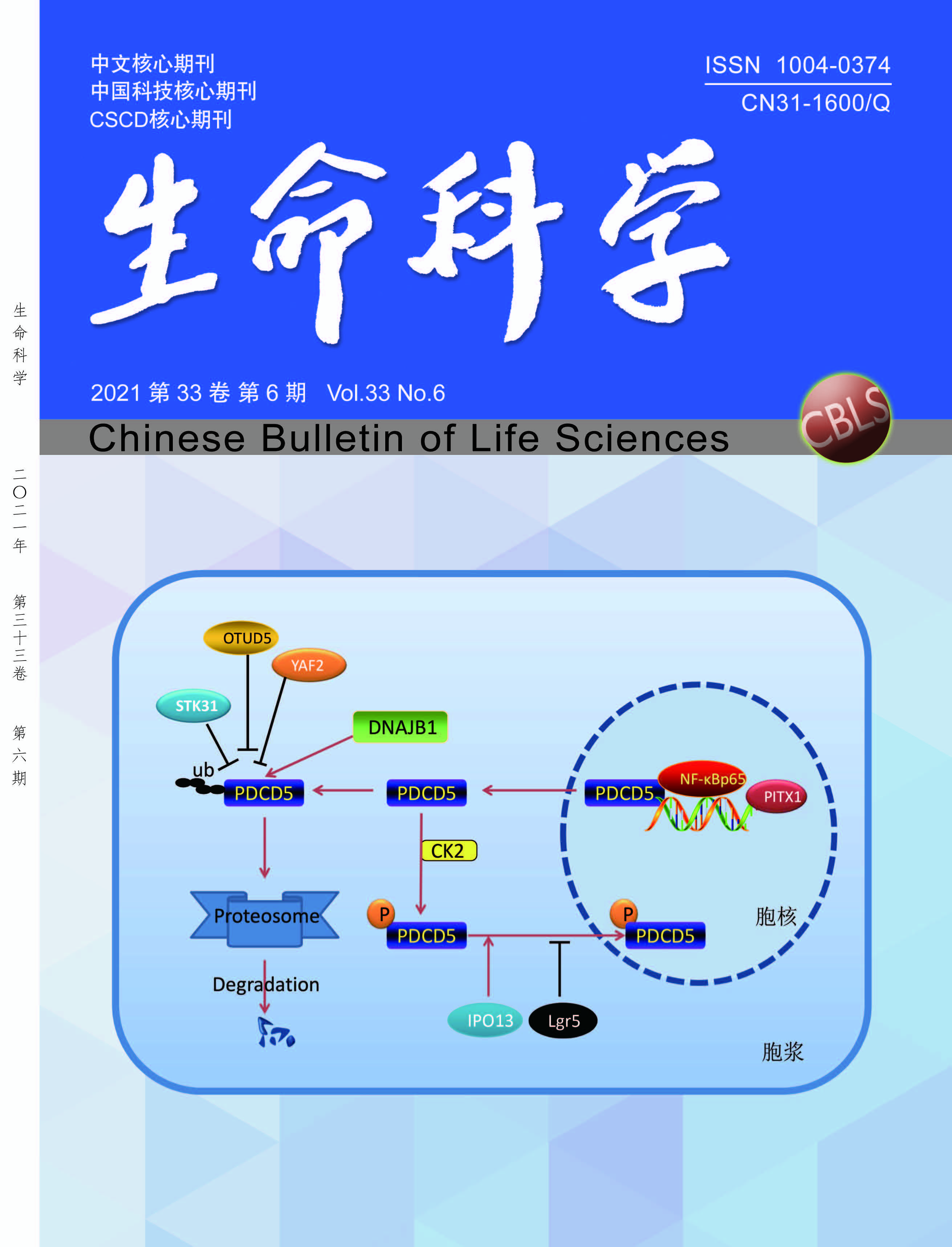 2021年生子最佳吉时，科学与传统智慧的结合,吉时,健康状况,第1张