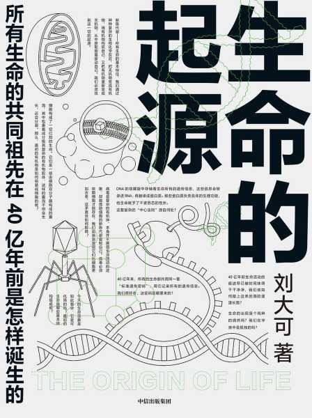 生命的起点，解析出生之家的禁忌,命运,事业,八字,第1张