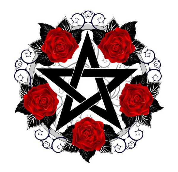 十二星座插花图案寓意，花中，each stars flower language,象征,十二星座,自我,第1张