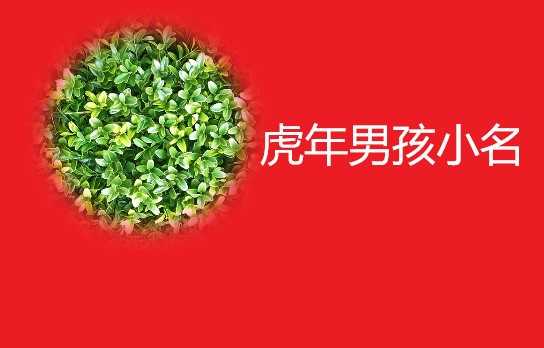 虎年宝宝小名取名指南，寓意与创意并重,象征,第1张