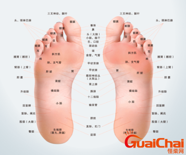 脚底胎记算命，传统与现代的对话,命运,算命,传统与现代,第1张