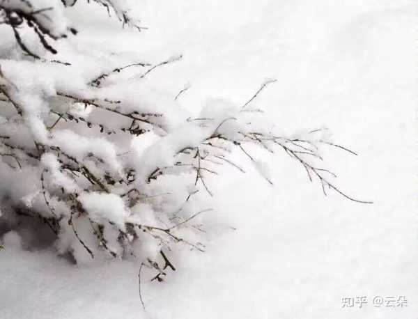 走墓运真的能带来吗？与吉凶解析,象征,命运,八字,第1张