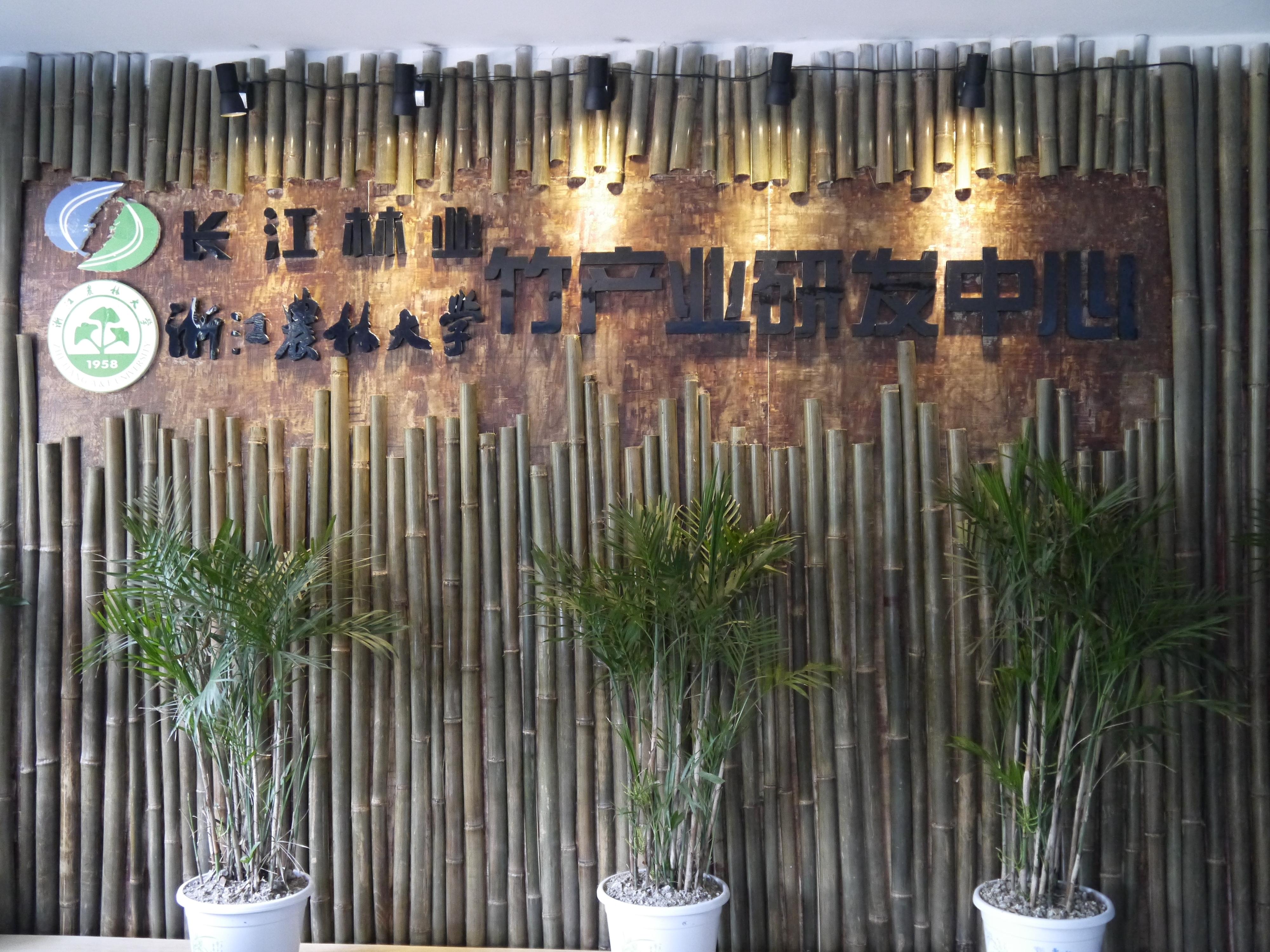 樟竹，自然与人文的融合,象征,事业,气场,第1张