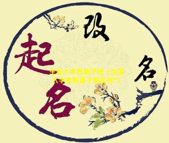 八字测算童子命，揭示命运与机遇的奥秘,命运,八字,健康状况,第1张