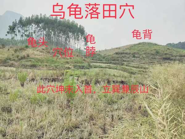 甘肃布局，自然与人文的融合,挑战,风水布局,第1张