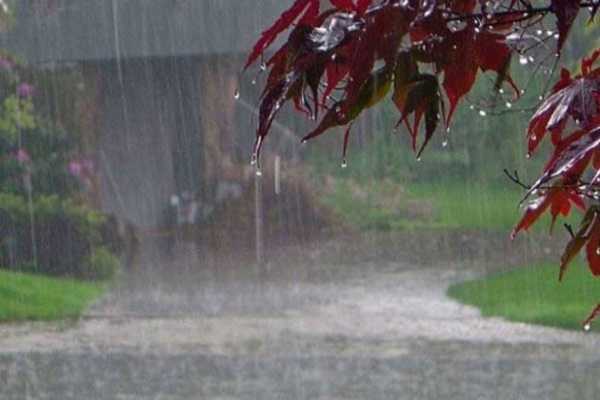 大雨纷飞，解读自然与心灵的双重启示,象征,挑战,与和谐,第1张