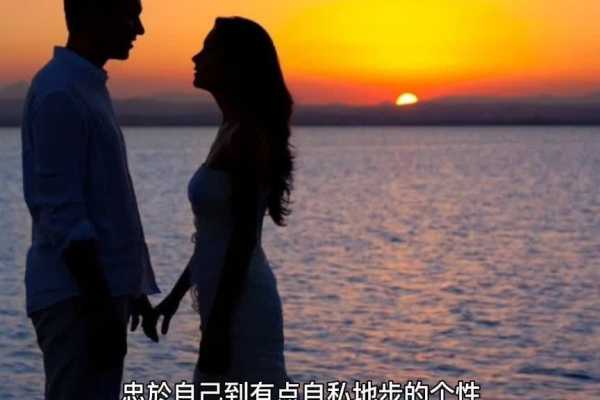 十二星座摩羯配，射手座的浪漫与自由,挑战,十二星座,自我,第1张