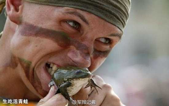 十二星座最爱吃的青蛙,挑战,十二星座,能量,第1张