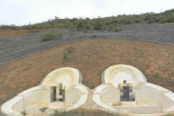 墓地选择讲究,选树要谨慎,摆放有讲究,象征,能量,风水布局,第1张 墓地选择讲究,选树要谨慎,摆放有讲究,象征,能量,风水布局,第1张