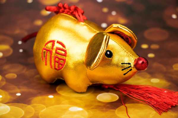 属鼠的你今年在哪里？财运、感情、健康全解析！,象征,挑战,财运,第1张