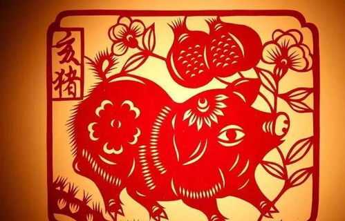 属猪人明天生肖运势解析，事业与生活的小窍门,事业,挑战,合作,第1张