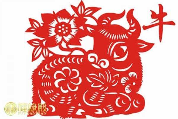 解梦小牛出生，解析其象征意义与现实启示,象征,挑战,解梦,第1张