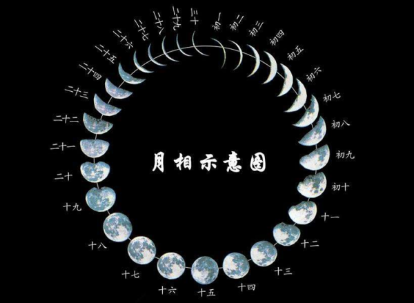 阴历九月生肖运势详解,命运,事业,挑战,第1张