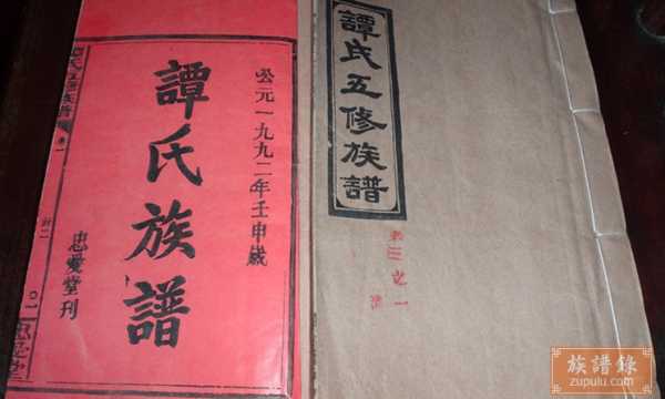 谭姓宝宝取名指南，传统与现代结合的艺术,象征,命运,希望,第1张