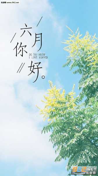 八月求签壁纸，可爱又充满希望的图片合集,象征,求签,第1张
