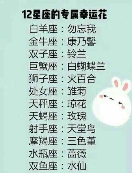 十二星座与花语，浪漫的星座之花解析,象征,十二星座,自我,第1张