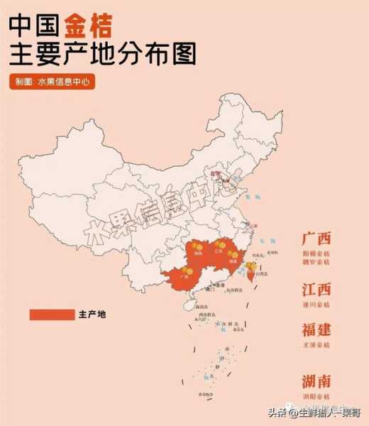 金狗开门时，吉时与凶时的分析,象征,事业,挑战,第1张