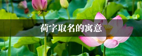 有莲字名字吉凶，解析名字背后的文化与意义,象征,命运,文化传承,第1张