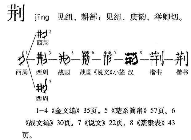 荆姓女宝宝取名指南，传统与现代结合的艺术,象征,宝宝取名,传统与现代,第1张