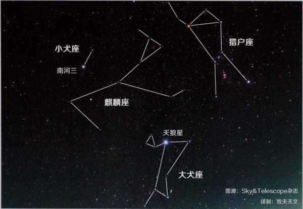 十二星座与小型犬，最佳搭配指南,挑战,十二星座,星座,第1张