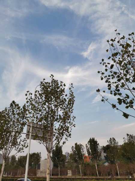 十二星座的失眠之谜，为什么天蝎座、水瓶座等星座容易失眠？,挑战,十二星座,自我,第1张