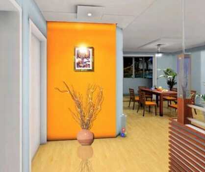 门户外摆放宝物，轻松驱除蚊蝇，营造和谐家居环境,希望,气场,能量,第1张