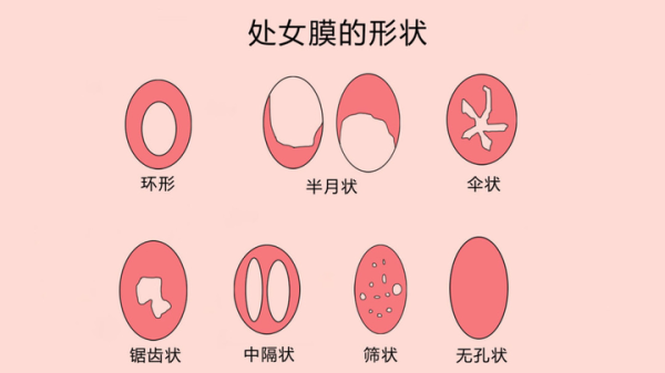 座，最聪明、最细致的星座,挑战,自我,星座,第1张