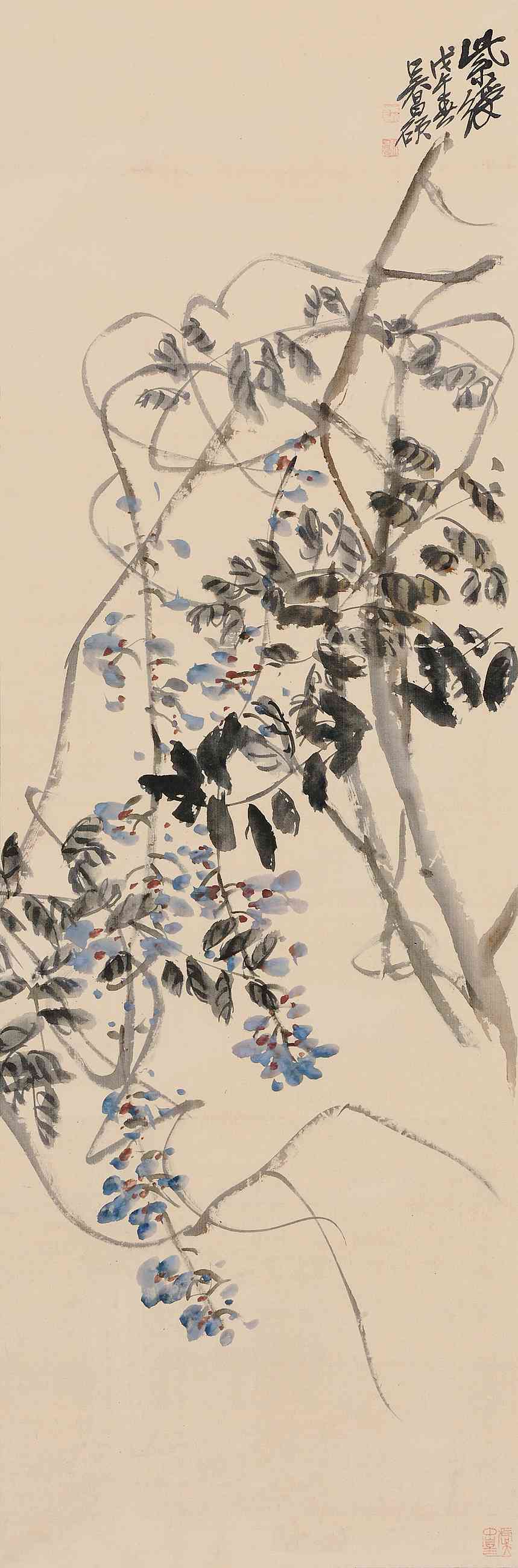 紫藤，Chinese Culture’s Secret Weapon for Feng Shui and Prosperity,紫藤,风水,第1张
