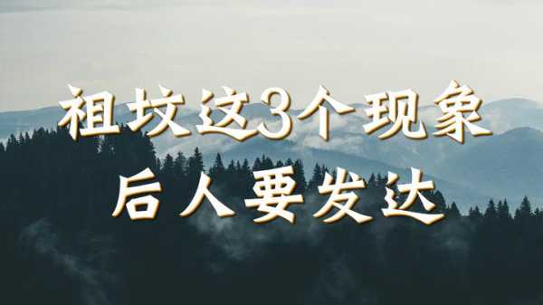 祖坟出现白兔，预兆与解梦解析,象征,事业,解梦,第1张