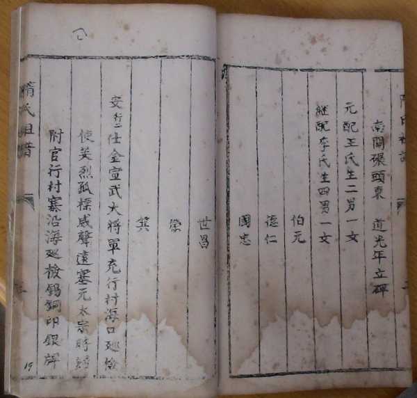姓隋的宝宝取名字，传统与现代的结合,象征,命运,宝宝取名,第1张
