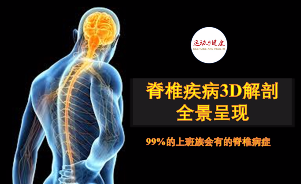 十二星座腰痛是什么原因,十二星座,自我,能量,第1张