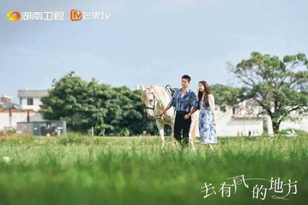风宅最忌讳什么？,象征,事业,气场,第1张