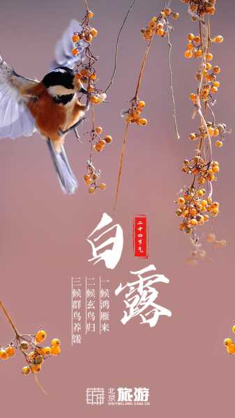 白露时节，宝宝取名灵感来源,象征,希望,宝宝取名,第1张