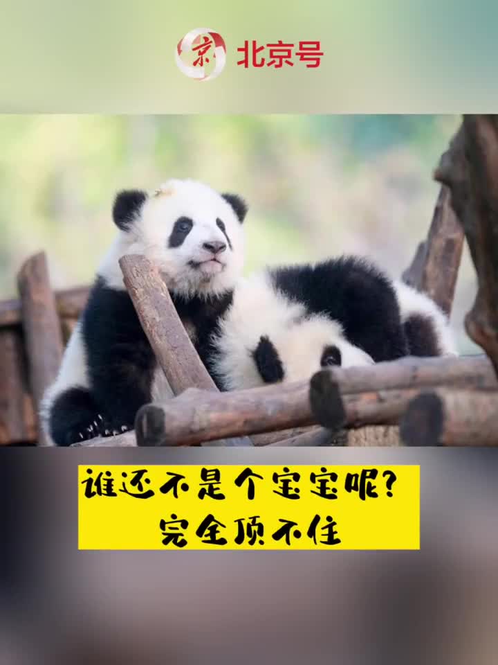 佑安宝宝，那些你可能不知道的取名灵感,象征,宝宝取名,寓意美好,第1张