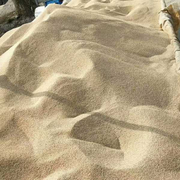 沙姓龙宝宝取名男孩怎么取,象征,希望,宝宝取名,第1张