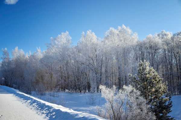 雪天虎宝宝乳名怎么取名？这些创意乳名让你宝宝可爱又独特！,光明,希望,宝宝名字,第1张