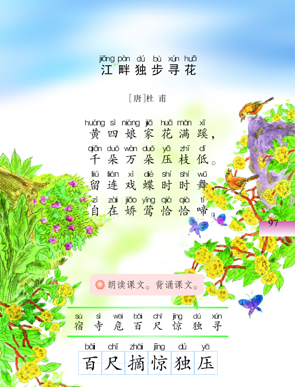绕梁，一只鸭子的诗意栖居,时光,美好,第1张