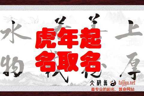 虎宝宝取名末尾字有什么,象征,事业,宝宝取名,第1张