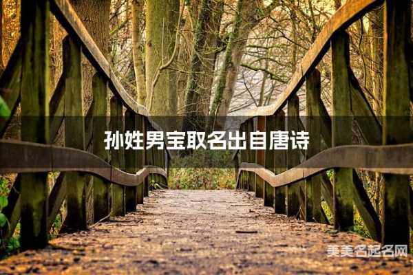 郭和孙宝宝怎么取名字，结合姓氏与个性的结合,象征,宝宝取名,希望,第1张