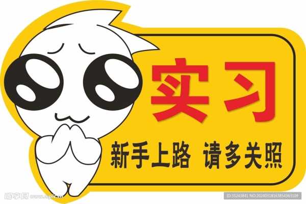 新手必学的入门指南,象征,命运,挑战,第1张