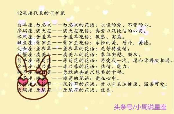 十二星座什么花最气，花与星座的搭配,象征,挑战,十二星座,第1张