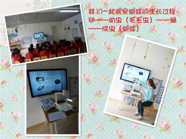 给蝴蝶宝宝起名字，有趣又富有教育意义,象征,希望,第1张